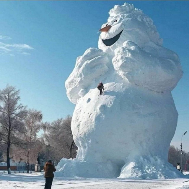 Подборка интересных и веселых картинок 14.02.24