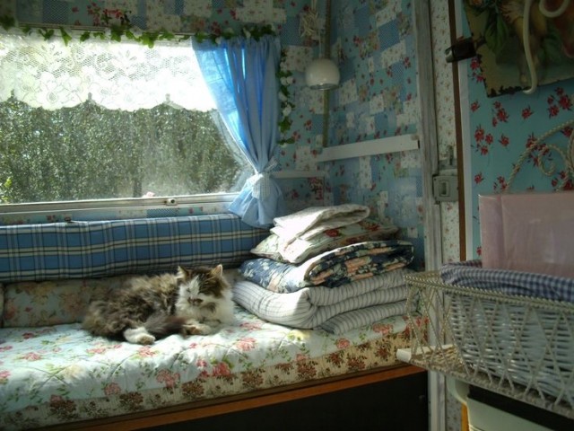 Прикольные и просто красивые картинки 05.04.2024