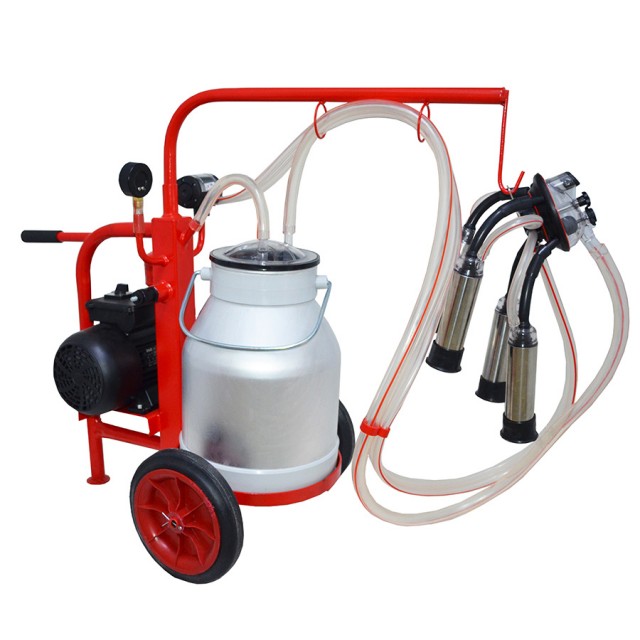 Настя из Душанбе. Хорошо готовит, хочет познакомиться