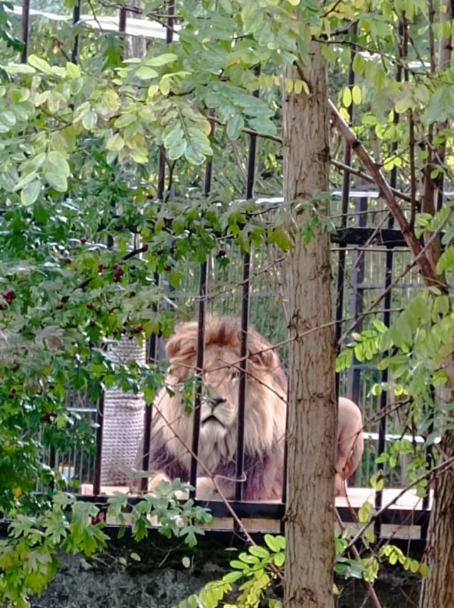 Оборотни против вампиров. Конкурс ужастиков к 31 октября