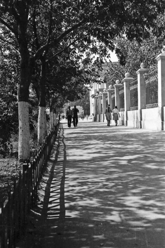 Фотолюбительство в СССР. Каменск-Шахтинский, 1963 год