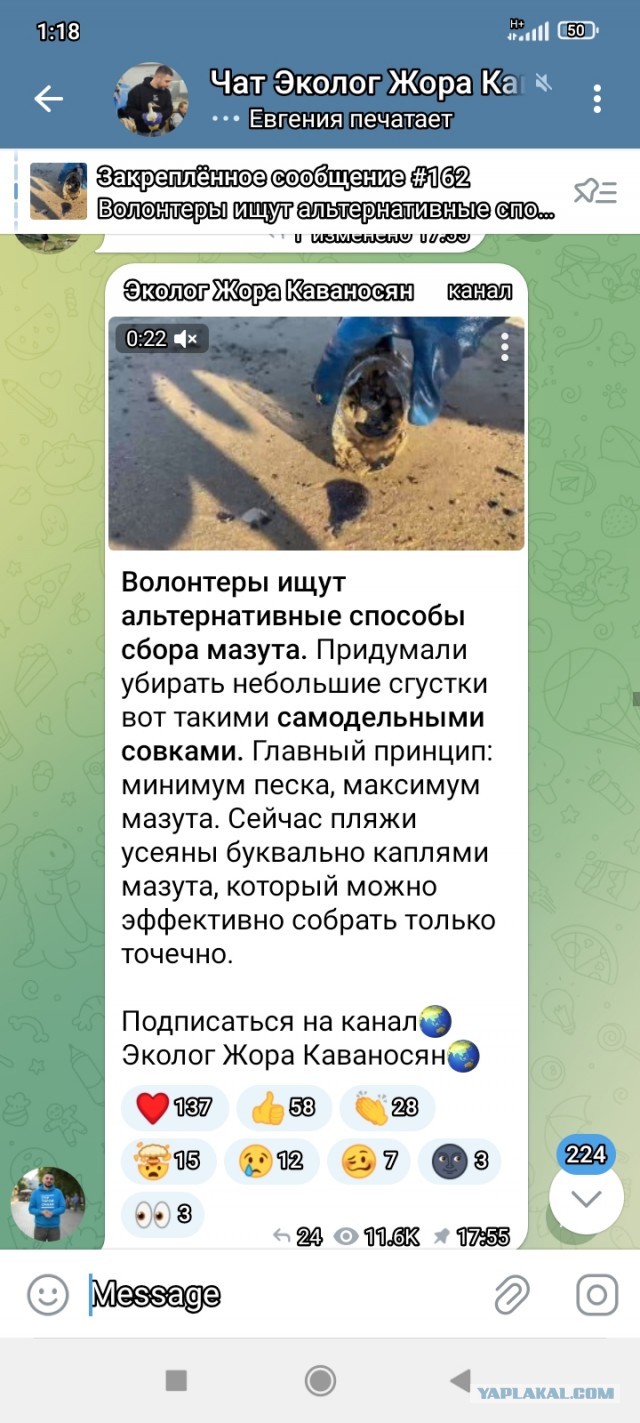 В Анапе экстренно закрывают реабилитационный центр для птиц