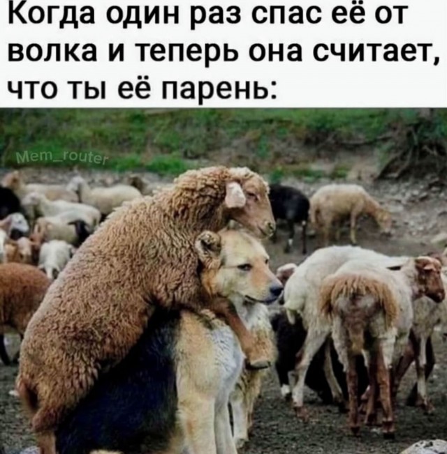 Завалялось тут случайно немного забавных картинок