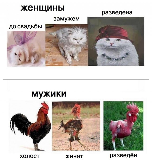 Мужики до и после встречи со своими девушками