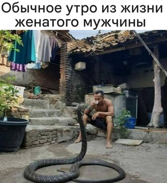 Веселые картинки в маленькую пятницу (20.08)