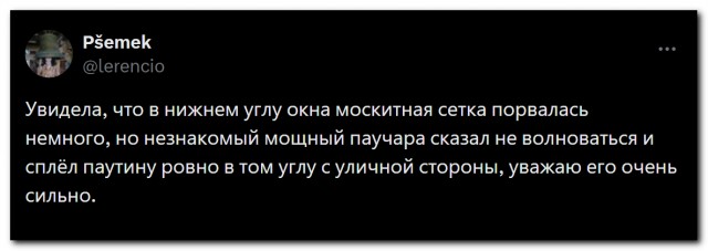 Дружелюбный сосед⁠⁠