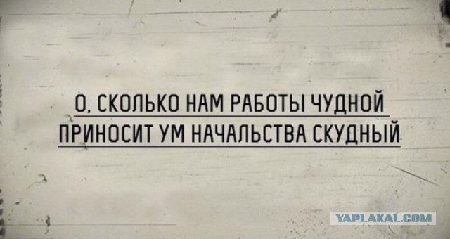 Лучшие поговорки про любимую работу