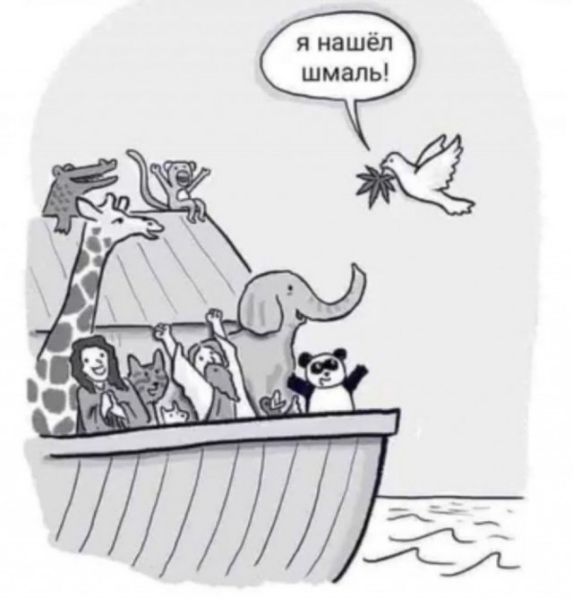 Так себе картинки 04.10.25