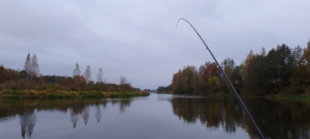 Рыбалка на реке Березина. Беларусь
