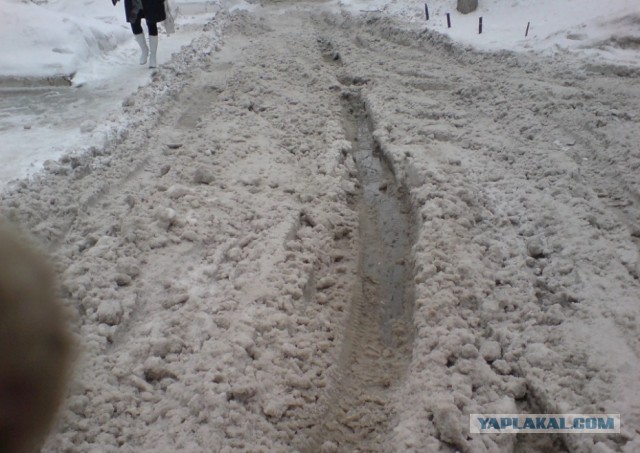 Найдена любимая обувь москвичек этой зимой