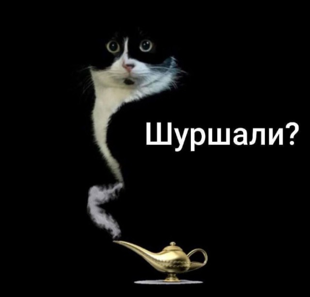 Картинки для деградации 110 (разной степени свежести)
