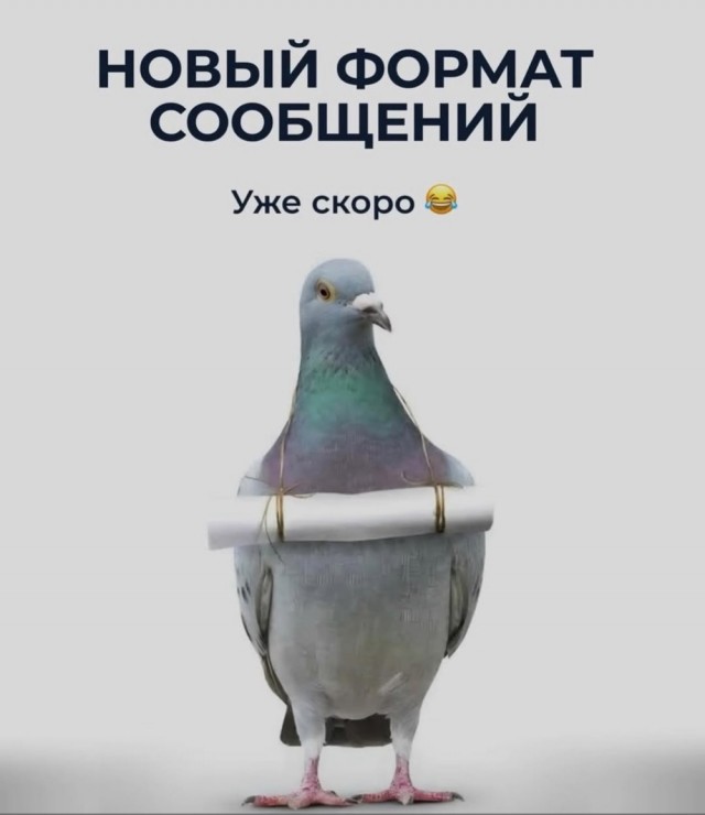 Среды картинки