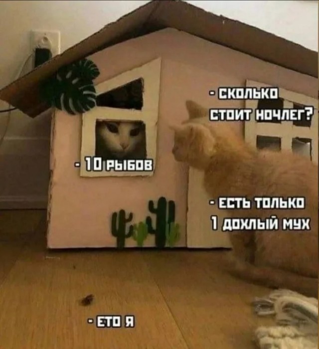 Туристы подарили местному жителю новый дом