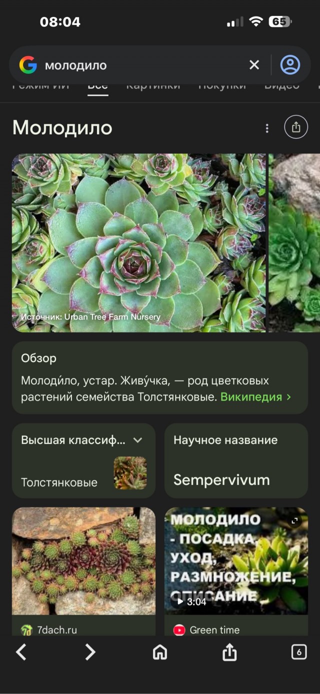 Приятель новый .