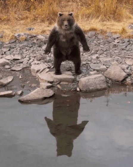 Как бы вы назвали это фото?