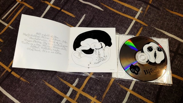 Björk — сама странная викинг певица