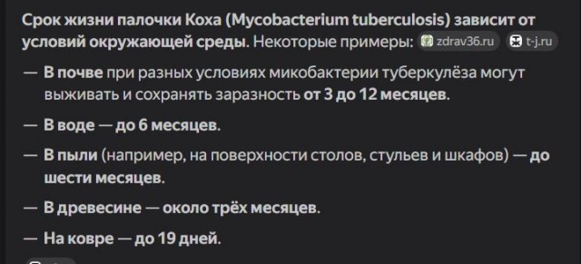 В петербургских «Крестах» появятся СПА-комплекс и общественное пространство