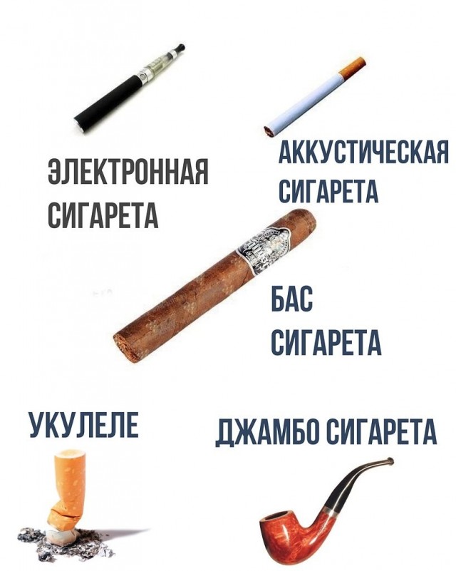 Торседор