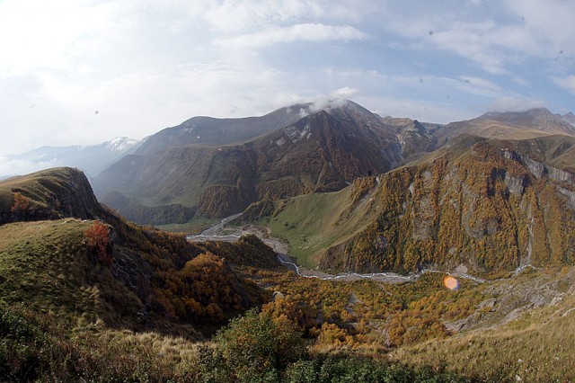 Абхазия (море), Армения (абрикосы)