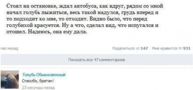 Картинки для деградации 253 (разной степени свежести)