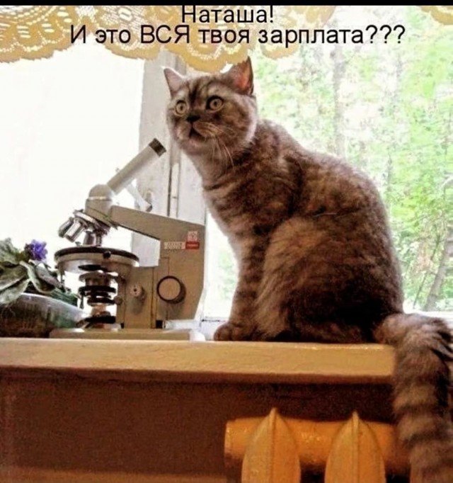 Так себе картинки 14.08.26