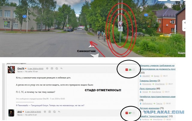 Услада для глаз
