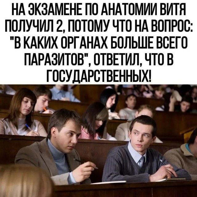Картинки для деградации 293 (разной степени свежести)