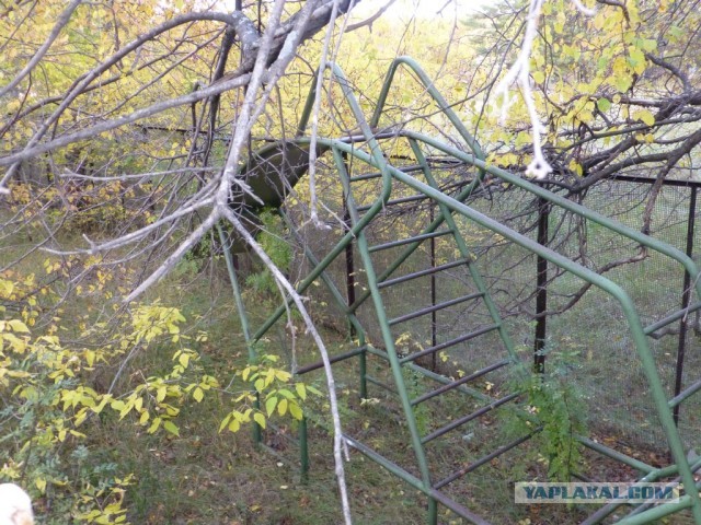 Назад в прошлое