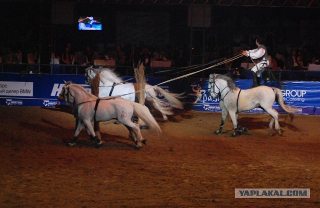 Скоро Год Лошади)))