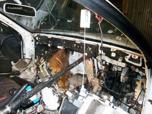 Ноускаты или носорезка