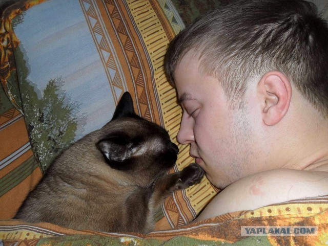 "Хозяин, ты бы за диваном прибрался что-ли..."