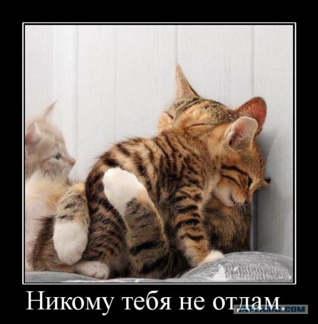 И снова в тему призываются алкоголики