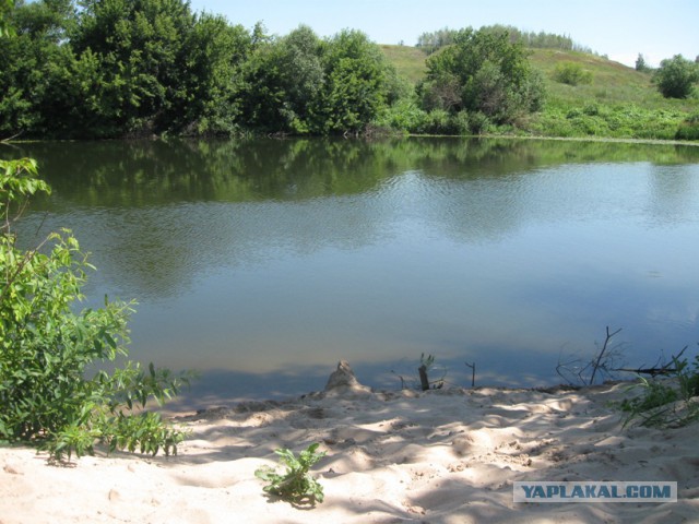 Вид из окна на вашей работе