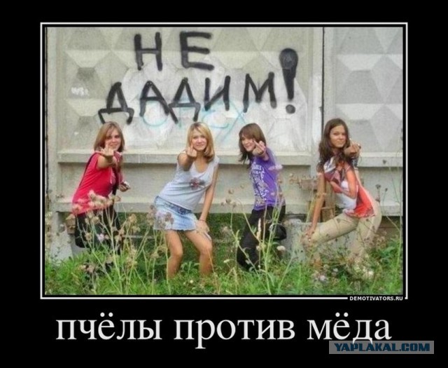 Ответ на тему ЯП не вдул.