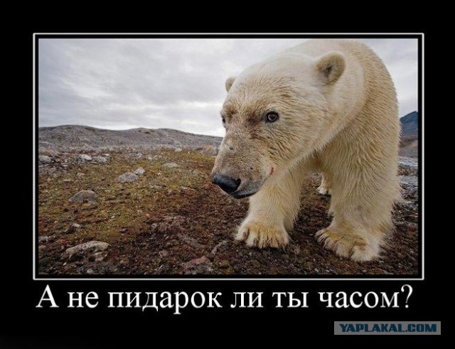 У природы нет понятия "извращение"