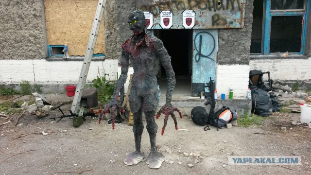 S.T.A.L.K.E.R.-2015, Камчатка
