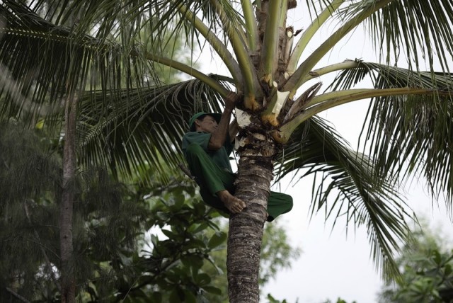 Новогодний чес