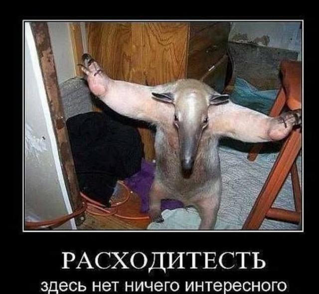 Подруга спалилась. На внимательность.