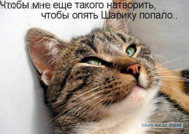 Смешные картинки
