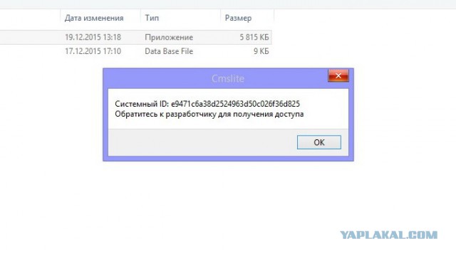 За что я люблю китайцев