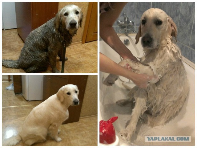 Понять и простить