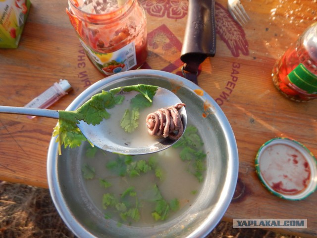 Скупые мужские радости(весенне охотничья)