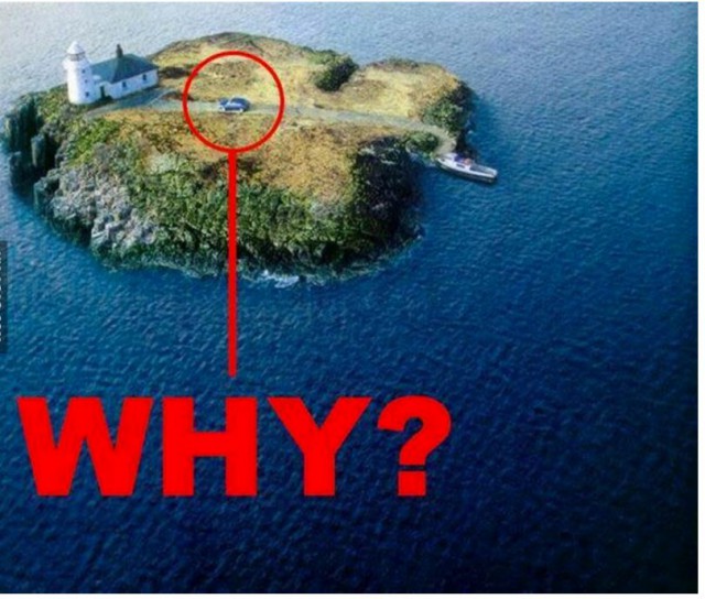 Весёлые картинки