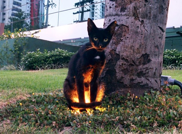 Подборка интересных и веселых картинок