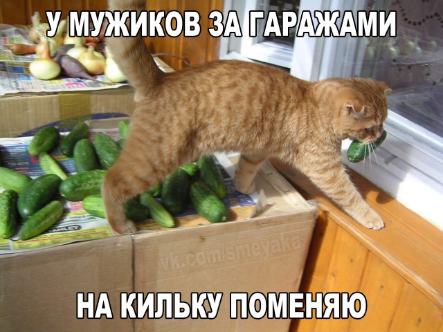 Соцсети - и смех и грех
