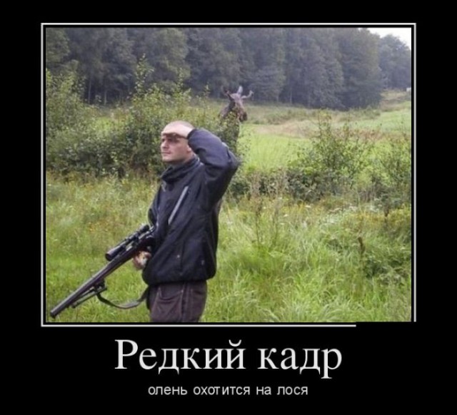 Подборка интересных и веселых картинок