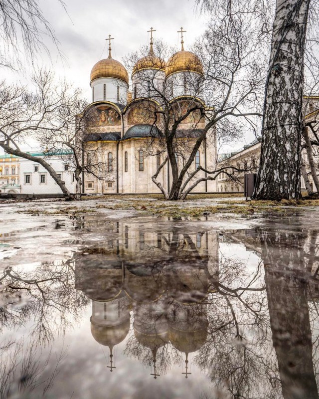 Моменты, запечатлённые на фото и просто позитив 5