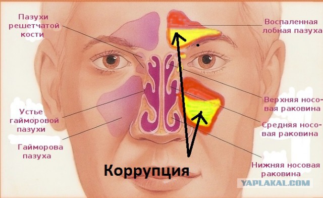 Мне стыдно...