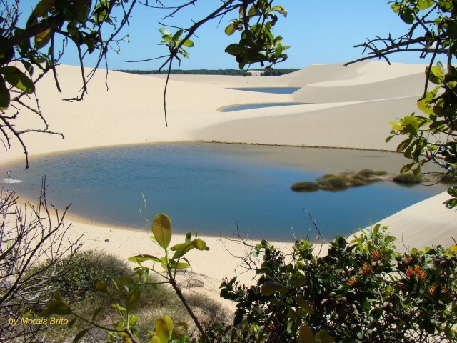 Водная пустыня