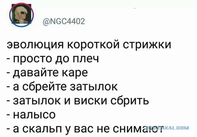 Смешные комментарии из социальных сетей 27.10.2017